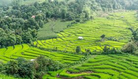 Capture the serene beauty of Chiang Khong’s cultural landscapes